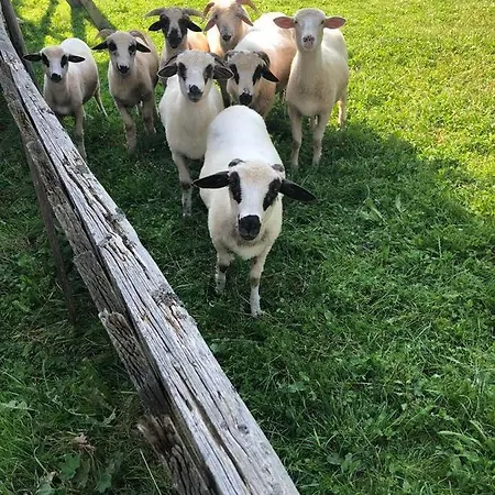 シャレー Na Stoku *